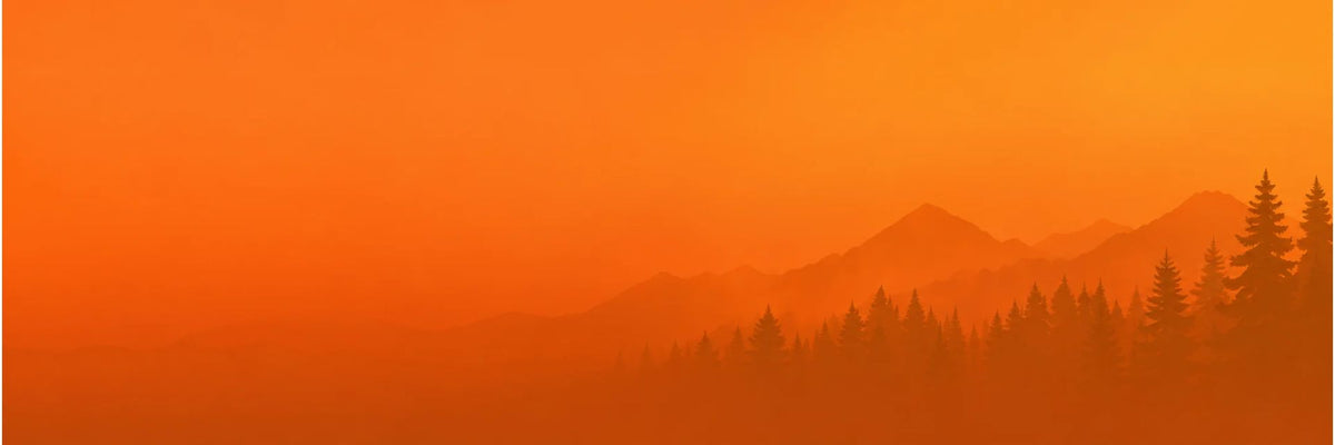 fond-orange-montagnes-foret.jpg